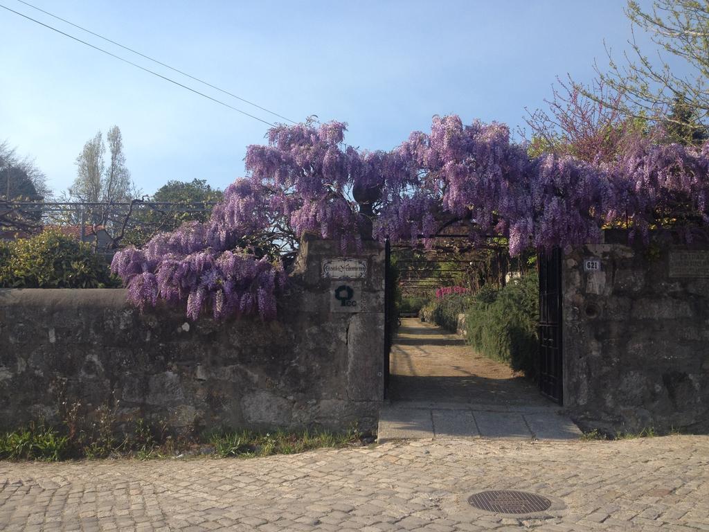 Casa Santa Filomena Viana do Castelo Exterior photo